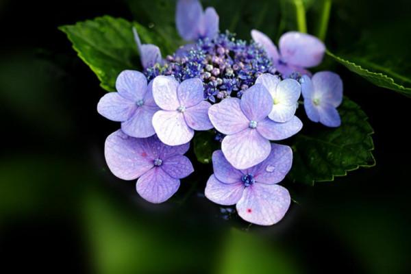 &OpenCurlyDoubleQuote;有無福氣，一看便知&rdquo;：一個家庭的福氣，取決於這三個人的貌相