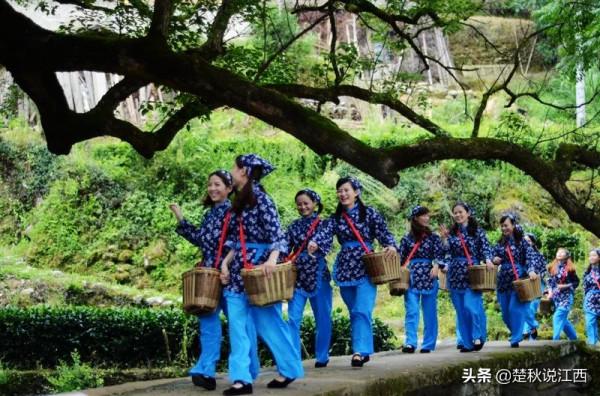 江西這款茶,有人說名字雖不算雅,但喝過一次就會愛上 江西這款茶,有人說名字雖不算雅,但喝過一次就會愛上