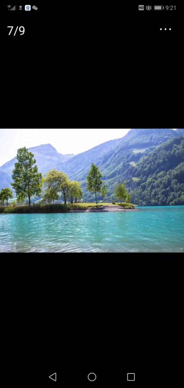 垂釣驚夢(1995年夏) 垂釣驚夢(1995年夏)