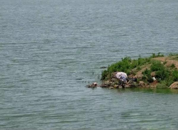 漲潮和退潮,哪一種情況才更適合釣魚 漲潮和退潮,哪一種情況才更適合釣魚