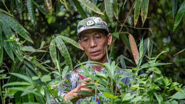犀鳥谷護林員的生態保護故事