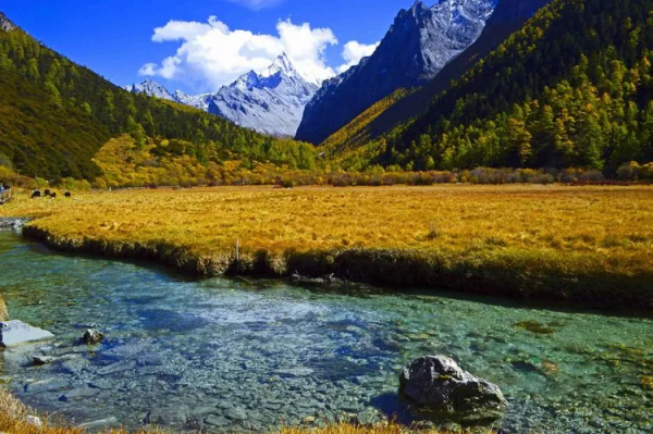 國內夏秋風光美景