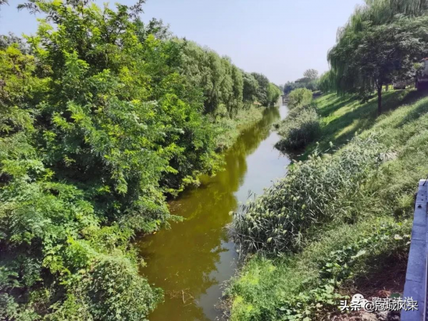 臨清老街·桃園街 臨清老街·桃園街