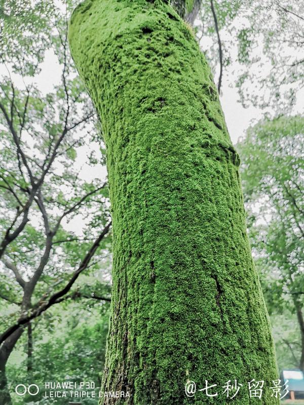 國家5A景區古隆中 國家5A景區古隆中