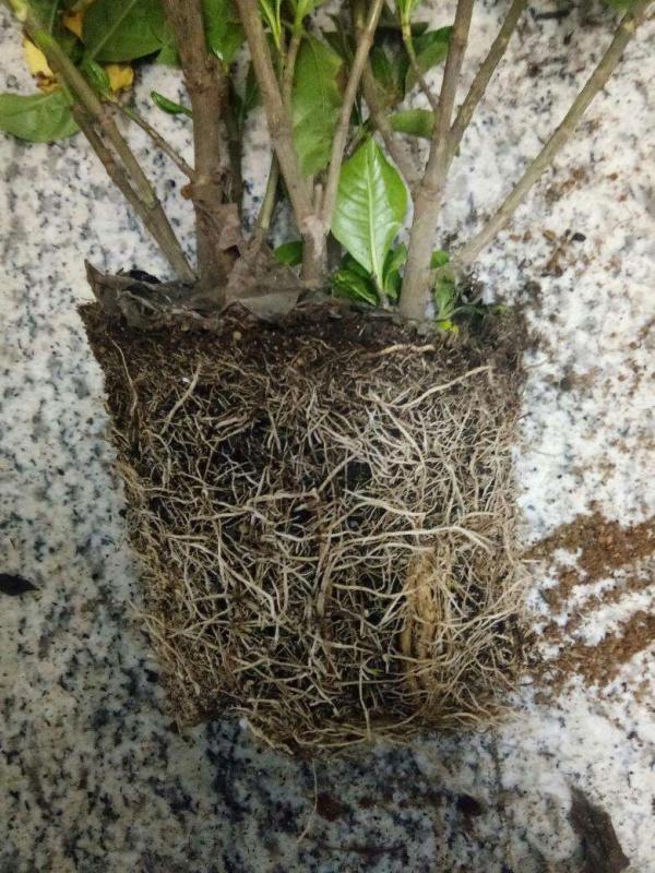 養護別稀裡糊塗，弄清楚這4點基礎知識，很重要