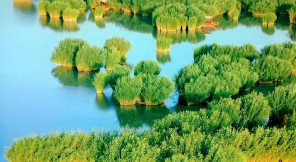 國民黨懸賞陳毅人頭，獎金從五萬降到二百，陳毅大怒質問對方軍官