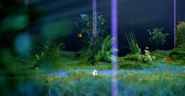 蔡徐坤、王一博加盟跨晚，還在靠流量撐檯面？四川臺卻劍走偏鋒