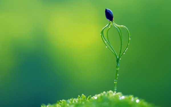 靈隱塔羅:白羊座12月上半月運勢,有些水逆,莫名產生不好的情緒 靈隱塔羅:白羊座12月上半月運勢,有些水逆,莫名產生不好的情緒