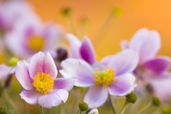 2022年2月運勢：射手座、摩羯座、天蠍座