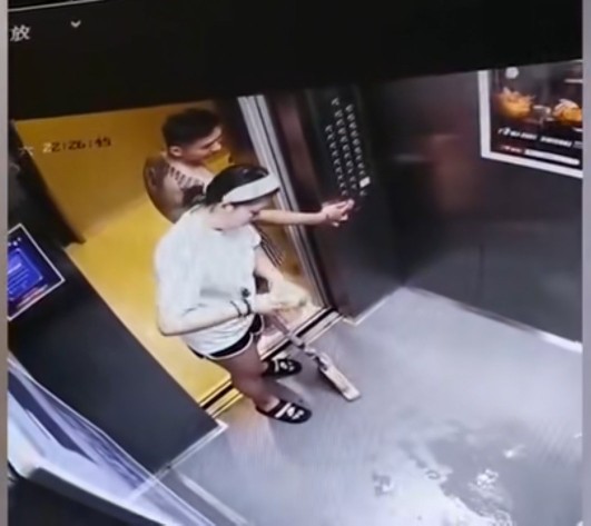 寵物狗在電梯內尿尿,被主人腳踢,隨後做法讓人狂贊 寵物狗在電梯內尿尿,被主人腳踢,隨後做法讓人狂贊