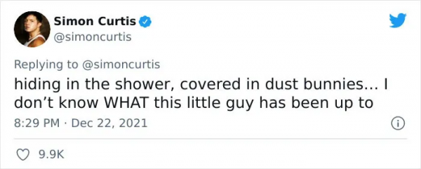 小哥在沙拉里發現了一隻小青蛙後，在網上直播起了養蛙生活