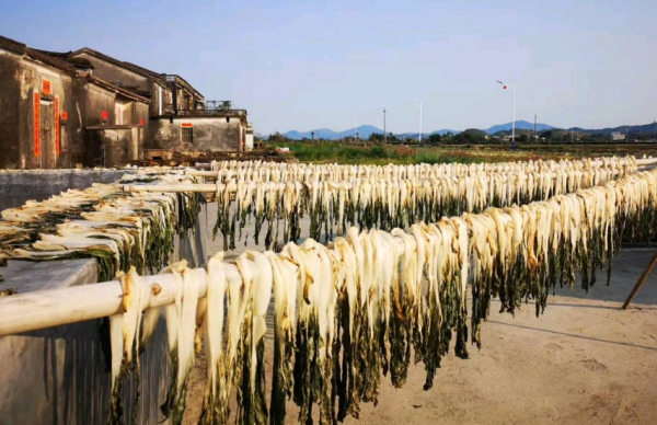 這幾種廉價蔬菜曬乾後,好吃又美味,儲存時間長,用來炒肉真香 這幾種廉價蔬菜曬乾後,好吃又美味,儲存時間長,用來炒肉真香
