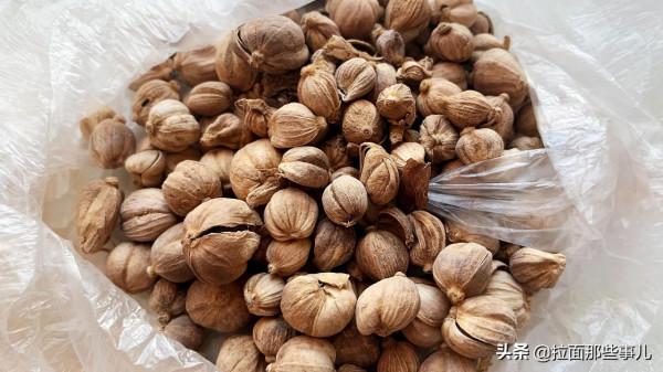 香辛料寶典：60種商用香料的用途和特性，香料該如何搭配？超實用