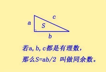 這個被懸賞630萬的問題究竟在說什麼？看完你也能有清晰的理解