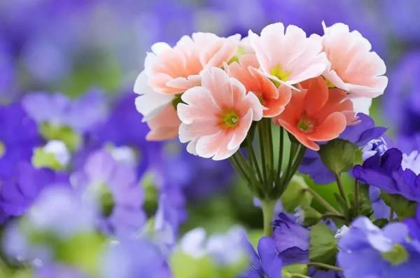 從指縫中，溜走的三天