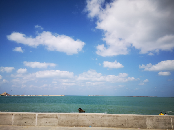 這一年，我們透過頭條看世界