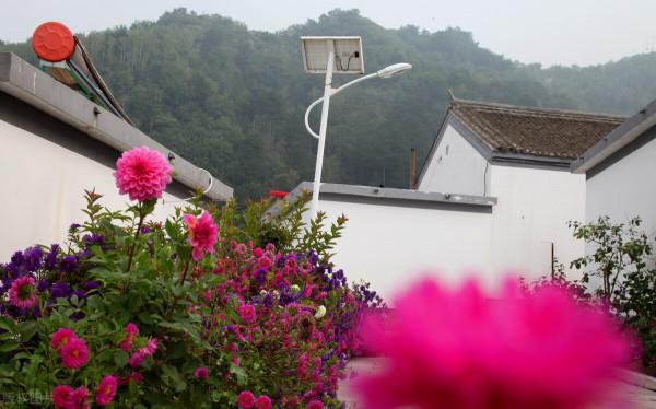 城市菜價漲,農村機會多?這8類人想返鄉創業缺資金,咋白手起家 城市菜價漲,農村機會多?這8類人想返鄉創業缺資金,咋白手起家