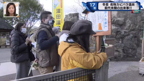 堅持不想泡澡的水豚｜日本冬至泡柚子湯傳統 遊客等了一個多小時