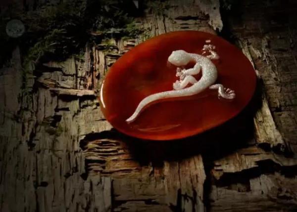 中國“天工獎”系列（31）