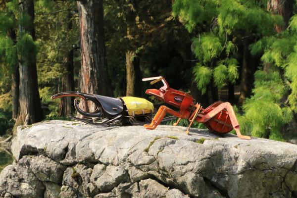 穿過密林，渡過小溪，美洲雨林兄弟的叢林好奇之旅