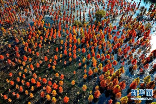 這也太太太美了吧！你覺得適合約誰去？