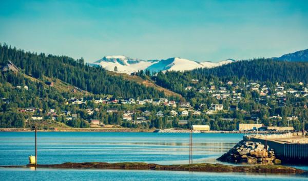 在我當船員的歲月裡,我養大了一隻海豹,儘管不捨也放它迴歸大海 在我當船員的歲月裡,我養大了一隻海豹,儘管不捨也放它迴歸大海