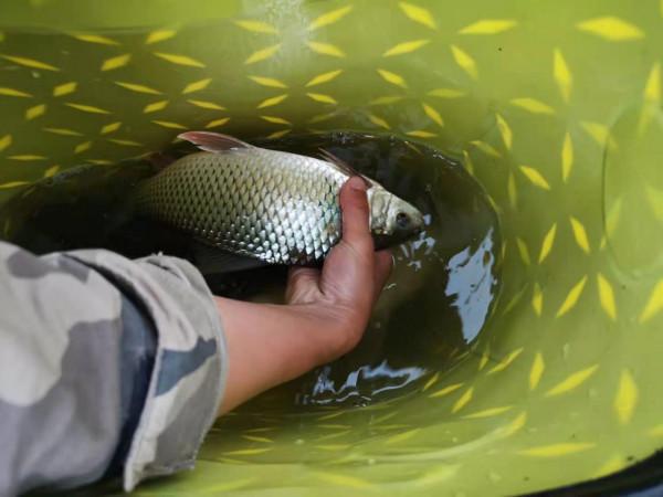 淺談雙鉤的餌料搭配,科學搭配可提高釣魚效率 淺談雙鉤的餌料搭配,科學搭配可提高釣魚效率