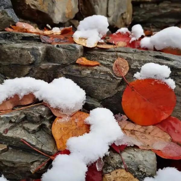 立冬之後，邀你一起看雪後的房山