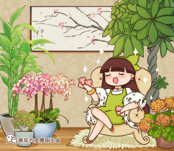 春節的蝴蝶蘭挺不過夏天?做好4點,妙手回春不是夢 春節的蝴蝶蘭挺不過夏天?做好4點,妙手回春不是夢