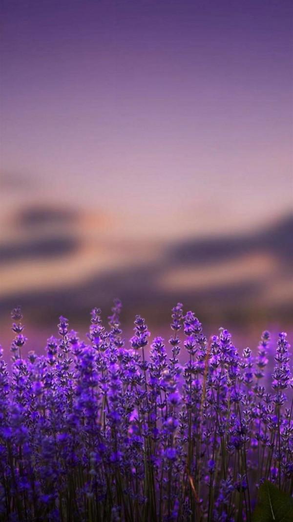 散文:人到中年,欲說還休,天涼好個秋 散文:人到中年,欲說還休,天涼好個秋