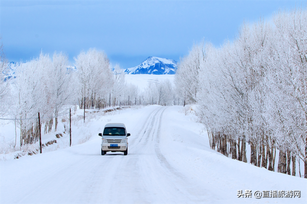 雪韻昭蘇冬日美如畫 雪韻昭蘇冬日美如畫