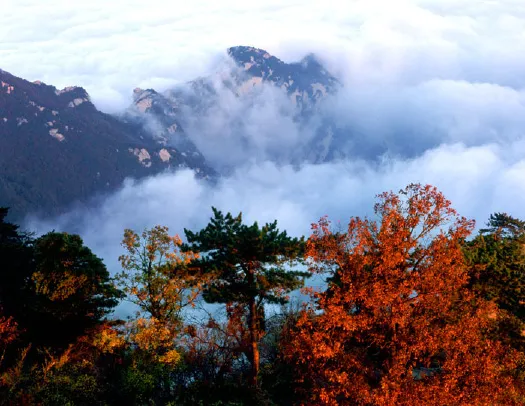 十一遊覽華山的最佳線路,現在就給你安排! 十一遊覽華山的最佳線路,現在就給你安排!