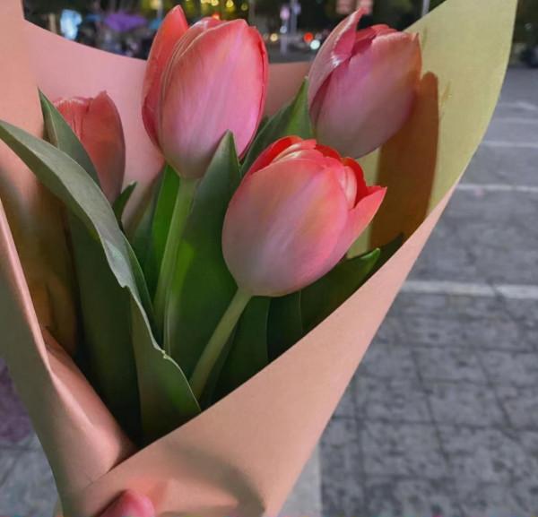 善於學習,總結,反思的三大星座 善於學習,總結,反思的三大星座