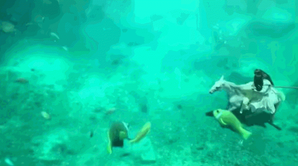 四年了，不要再撈宇文玥了