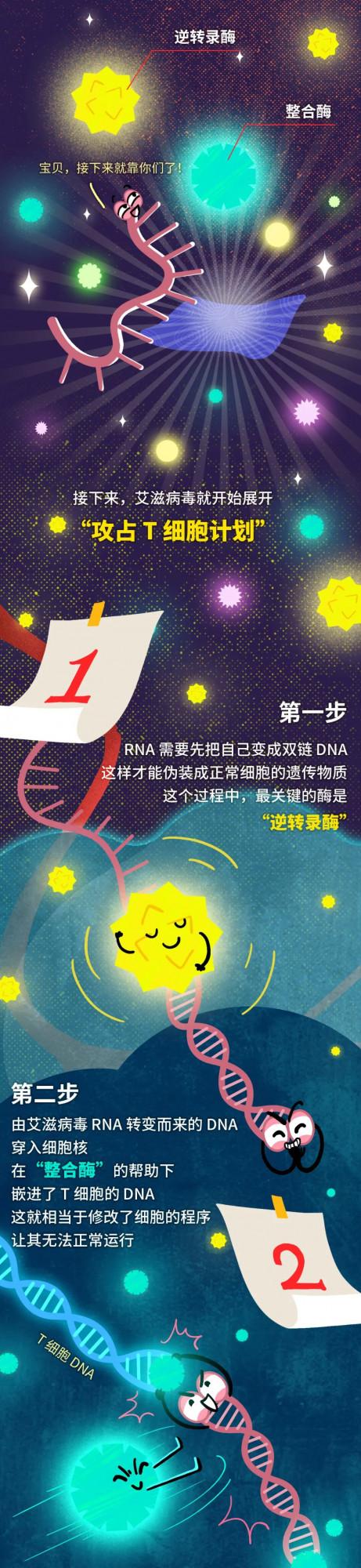 世界艾滋病日丨你知道嗎？當艾滋病毒入侵後，還有72小時自救！