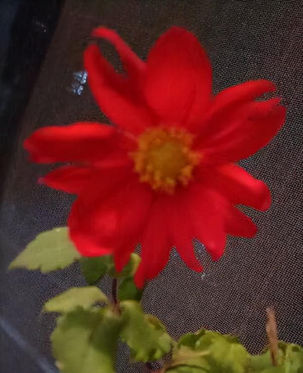 這10個道理，過了40歲之後才懂，你懂了幾個？