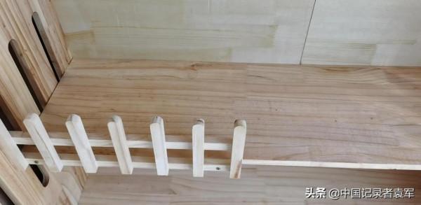 我最喜歡哥哥的寵物貓