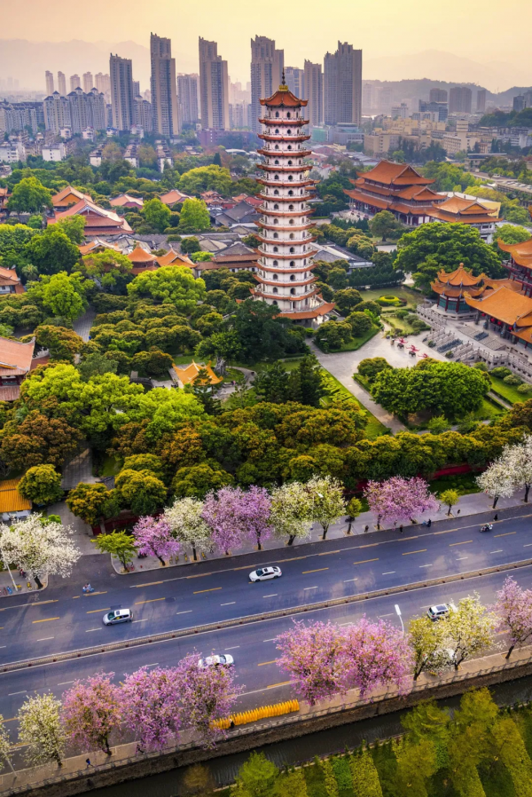 來了！中國賞秋地圖