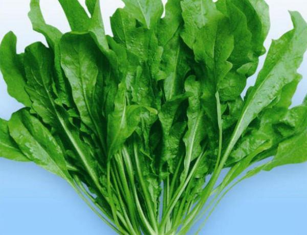 女性怕衰老，多吃4種食物，滋陰補肝，排毒養血，滋養女性子宮