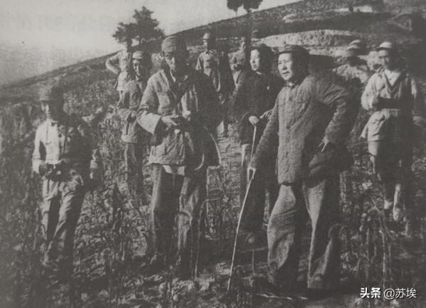 毛澤東被錯認為民兵,一連扛了幾天槍,他是如何幽默化解困境的? 毛澤東被錯認為民兵,一連扛了幾天槍,他是如何幽默化解困境的?