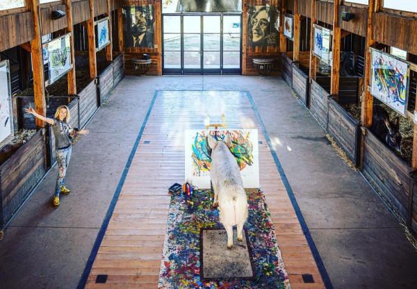 南非有一頭叫豬卡索的豬,畫了一幅畫,賣了近17萬人民幣 南非有一頭叫豬卡索的豬,畫了一幅畫,賣了近17萬人民幣