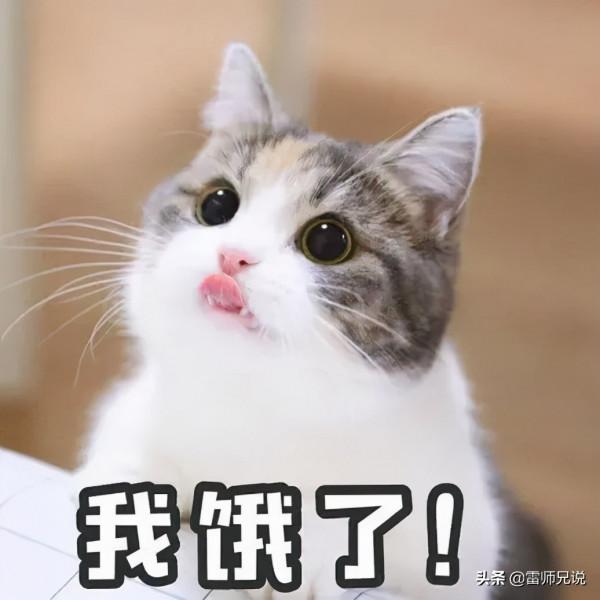 冬季減肥指南：冬天抖一抖，脂肪燃燒更持久