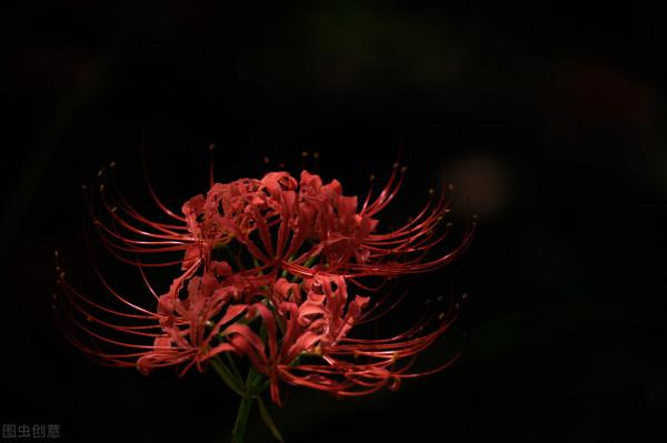 什麼時候是真正的心寒？