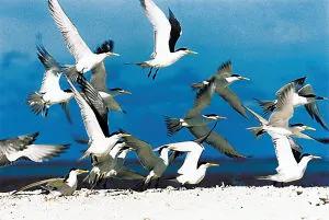 我國的這些海島風光旖旎，值得一遊，你去過嗎？