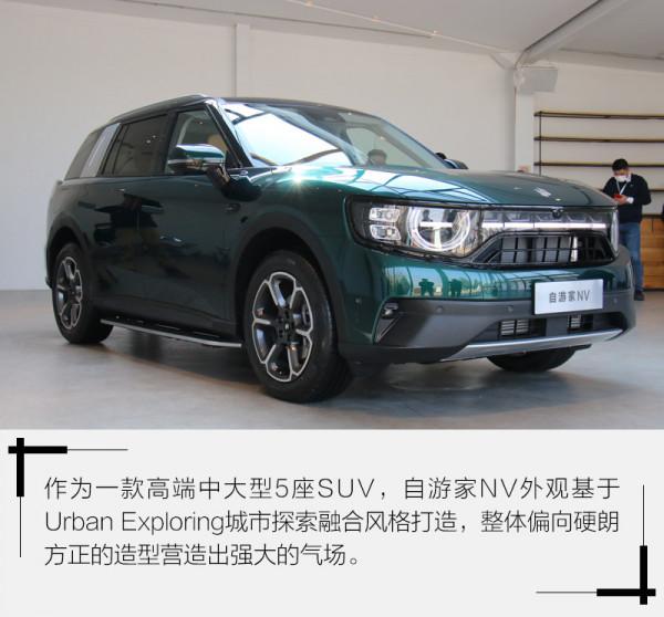 新能源領域的又一匹“黑馬”靜態體驗自遊家NV