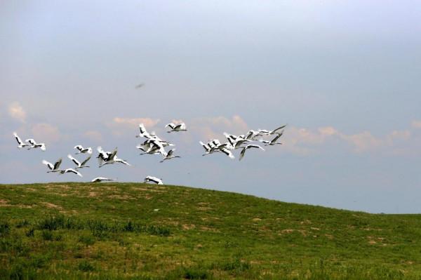 自駕十年(2013)——阿爾山踏青( 四) 自駕十年(2013)——阿爾山踏青( 四)