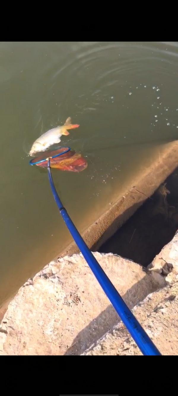 垂釣之旅——日行千里，只為漁你相見