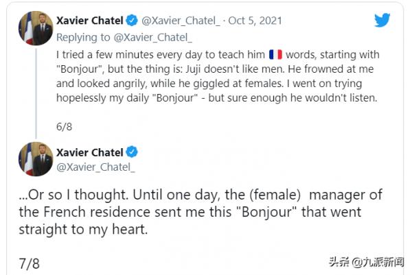 寵物鳥被迫與阿富汗女孩分離 法國大使將其收養並教它法語打招呼