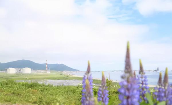 薩哈林州：戰鬥民族的遠東是什麼樣的？