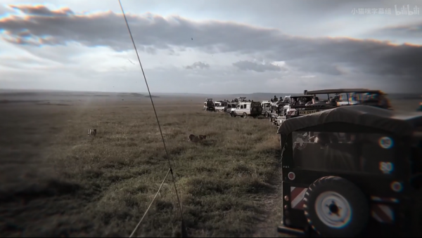 當人類消失，地球會發生什麼？